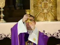 image?view=image&format=raw&type=img&id=2299