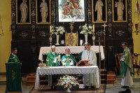 image?view=image&format=raw&type=img&id=2164