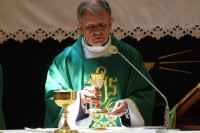 image?view=image&format=raw&type=img&id=2162