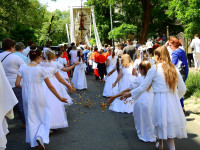 image?view=image&format=raw&type=img&id=1696