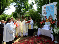 image?view=image&format=raw&type=img&id=1698