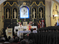 image?view=image&format=raw&type=img&id=1410