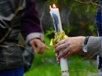 image?view=image&format=raw&type=img&id=1361