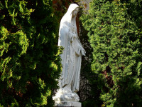 image?view=image&format=raw&type=img&id=1349