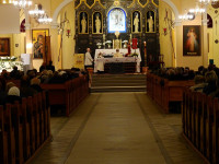 image?view=image&format=raw&type=img&id=1310