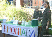 image?view=image&format=raw&type=img&id=897