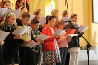 image?view=image&format=raw&type=img&id=1100